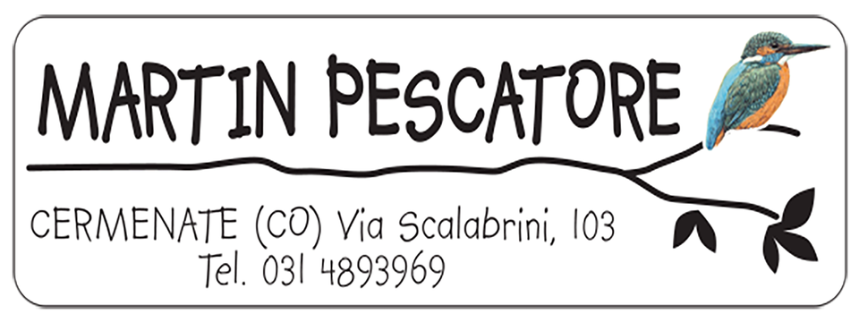 Negozio di abbigliamento per neonati, bambini, tendenze, moda e novita per donna e uomo